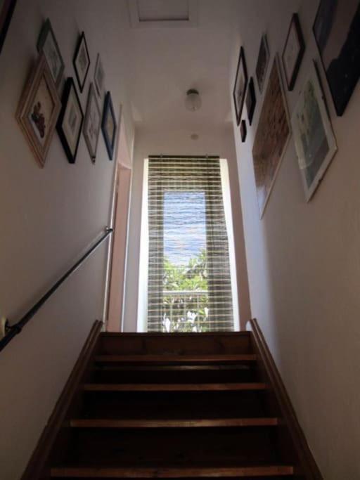 הוילה Charming House Ruza In קורצולה מראה חיצוני תמונה